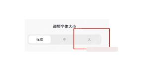 抖音极速版字体大小选择大号