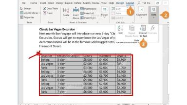 Word 文档中选中整张表格，红框标出表格区域和左上角选择柄