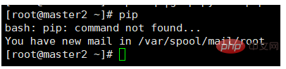 So installieren Sie Pip auf Centos