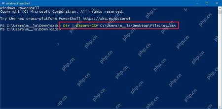 Windows PowerShell 使用 Export-Csv 把目录或对象导出到 CSV 文件