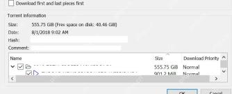 qBittorrent 添加任务窗口显示种子大小和磁盘剩余空间