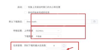 Motrix Windows 设置页红框标出下载限速和基础配置用于排查错误日志