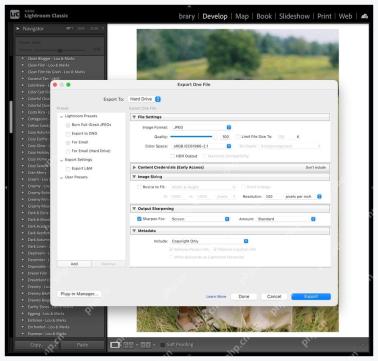 Lightroom Classic Export One File 窗口中 Image Format 设置为 JPEG