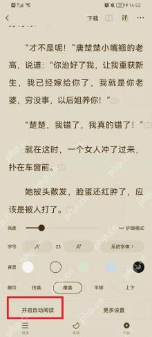 番茄免费小说怎么设置自动翻页速度