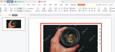 WPS演示图片设置透明度后作为淡背景显示在文字后方