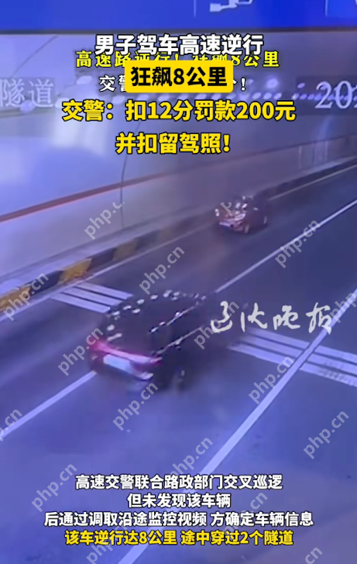 男子高速“逆行狂飙”8公里：教科书式危险驾驶，处罚结果引热议 - php中文网