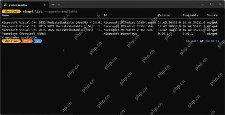Win11 PowerShell 运行 winget list --upgrade-available 显示 4 个可升级程序