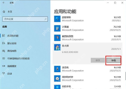 Windows 10 中文设置的应用和功能列表中选中鲁大师条目并高亮卸载按钮，证明安装失败时如果旧版本仍在系统里，要先从已安装应用入口卸载旧条目。