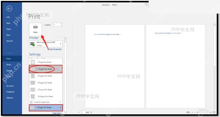 Word 每版打印页数下拉菜单,2 Pages Per Sheet 选项被标出