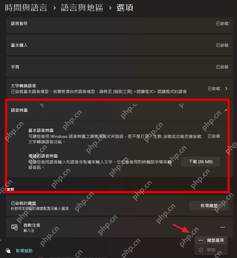 Win11 中文语言选项语音识别下载按钮