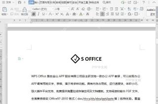 WPS如何给文档内容添加带圈字符？结果检查