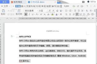 如何自定义WPS外观?结果检查