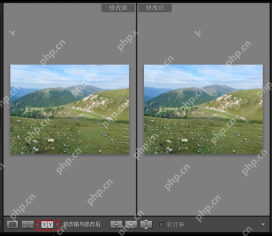 Lightroom Classic Windows 修改前和修改后双图视图及底部 Y|Y 对比按钮
