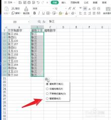 怎样利用WPS表格函数高效完成数据清洗