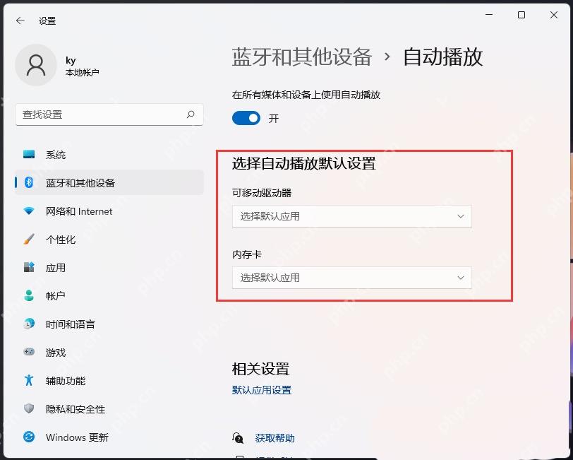 Win11 自动播放页打开总开关并查看可移动驱动器