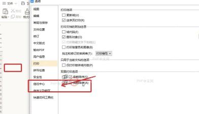 WPS选项打印设置中勾选打印背景色和图像