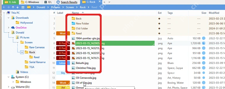 XYplorer 文件列表中的 Label 和 Tags 列。