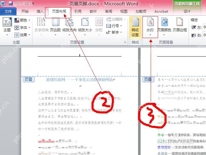 Word 页眉编辑区和页眉页脚工具界面
