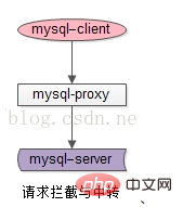 mysql proxy的意思是什麼