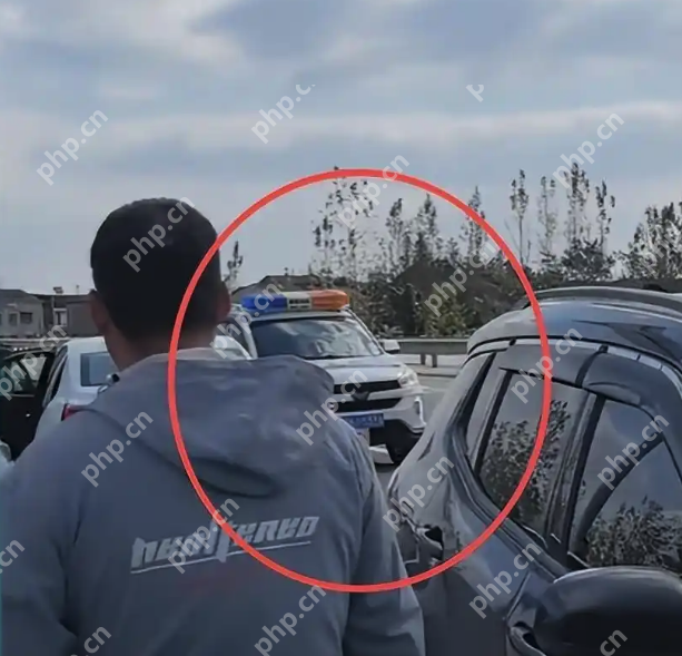 湖北孝感“塘主”讨债新招:将承包者堵在鱼塘里要钱,刚哥人麻了 - php中文网