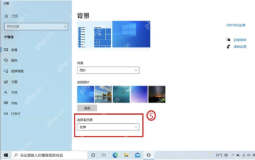 Windows 11 背景设置 选择契合度