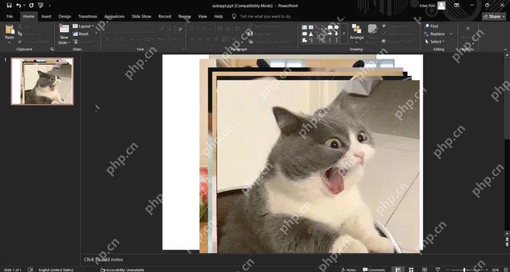 PowerPoint 中多张照片插入到同一页并等待排版
