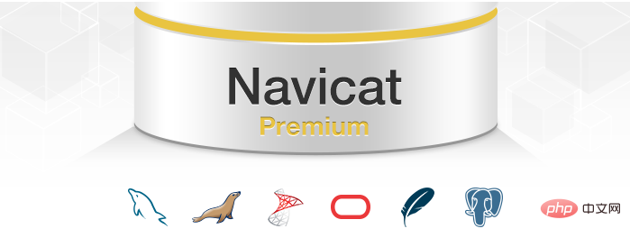 What software is navicat