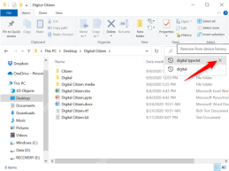 Win10 文件资源管理器搜索框下拉列表中显示 Remove from device history