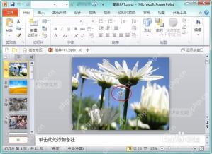 在效果选项中设置音频从当前页开始