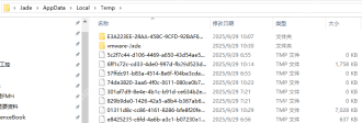 Win11 当前账户 Temp 目录中堆积的临时文件列表