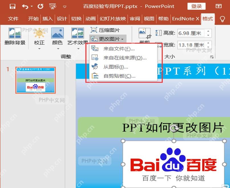 PowerPoint 图片格式中的更改图片菜单已展开，可选择来自文件替换图片