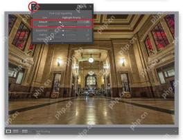 Lightroom Classic Windows 版英文效果面板裁剪后暗角数量设为负值，照片边缘开始变暗