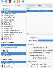 qBittorrent 主窗口左侧 Categories 和 Tags 分组栏