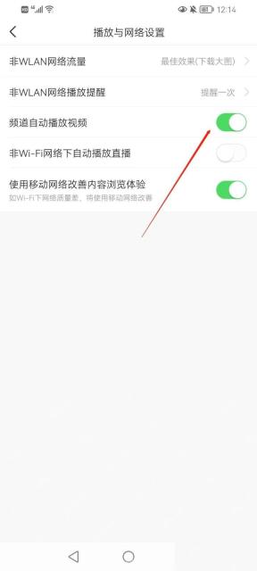 今日头条频道自动播放视频开关已开启