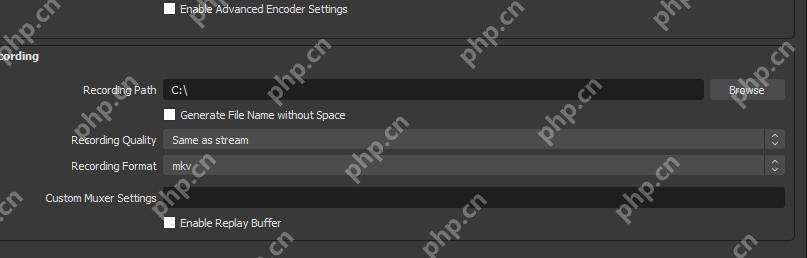 OBS Studio Output 设置页面显示 Enable Replay Buffer 回放缓冲复选框