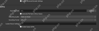 OBS Studio Output 设置页面显示 Enable Replay Buffer 回放缓冲复选框