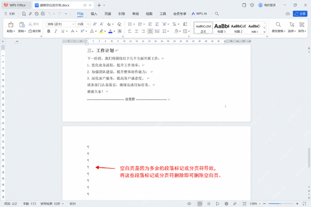 WPS文字中显示分页符与分节符以排查空白页的界面
