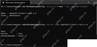 PowerShell 中查看 OpenSSH 客户端信息
