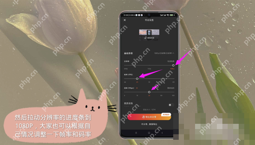 快影导出设置中调整码率并导出