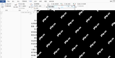 Word 脚注和尾注设置窗口,显示页面底端、编号格式和起始编号选项