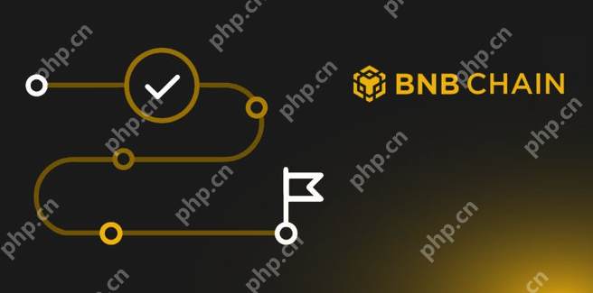 币安链上是啥酷好?币安链上怎样注册装配? - php华文网