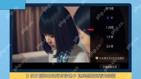 百度网盘 App 视频播放器右侧的倍速选择菜单