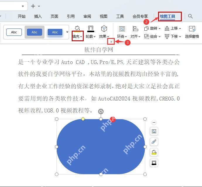 WPS文字中调整图形填充与样式统一简报视觉
