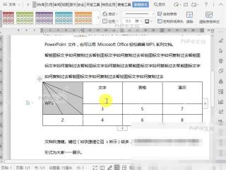 Word如何给文档表格绘制斜线表头?设置效果