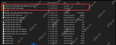Windows 文件资源管理器中 VMware 虚拟机目录高亮 vmem lck 和 vmdk lck 锁文件夹