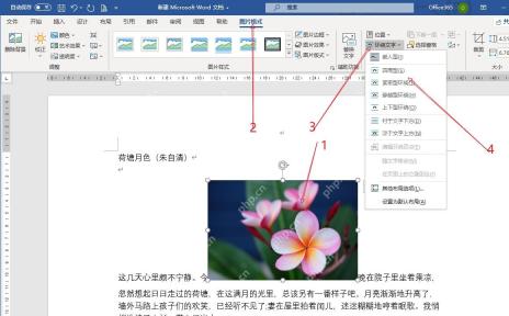 Word 图片格式菜单中选择紧密型环绕并查看文字绕排效果