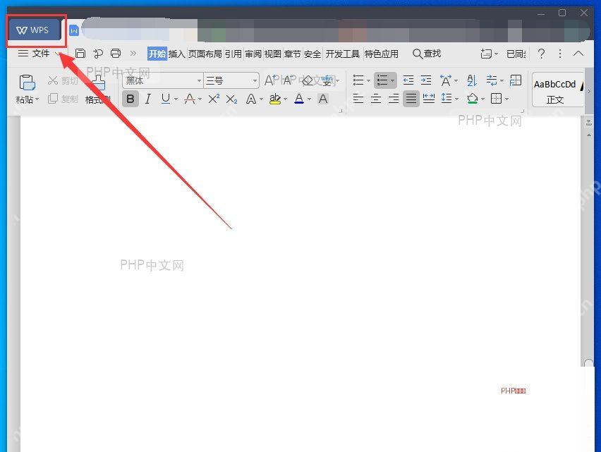 WPS 文档窗口左上角的 WPS 入口用于回到首页