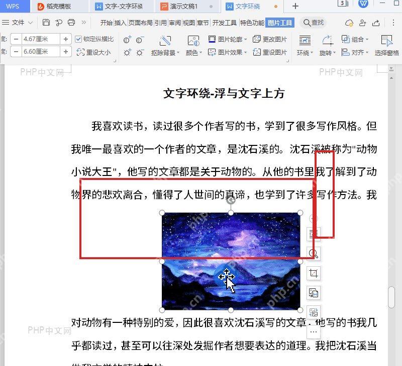 WPS 文字文档中图片被选中并显示控制点和右侧快捷按钮