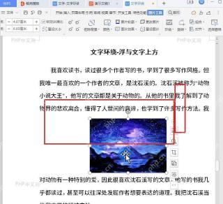 WPS 文字文档中图片被选中并显示控制点和右侧快捷按钮