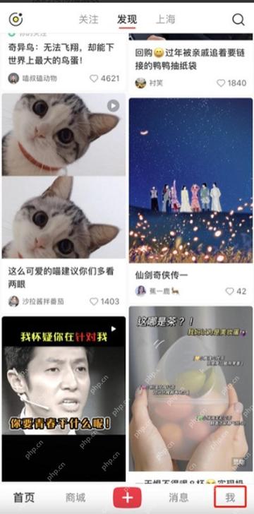 从小红书底部进入我的页面